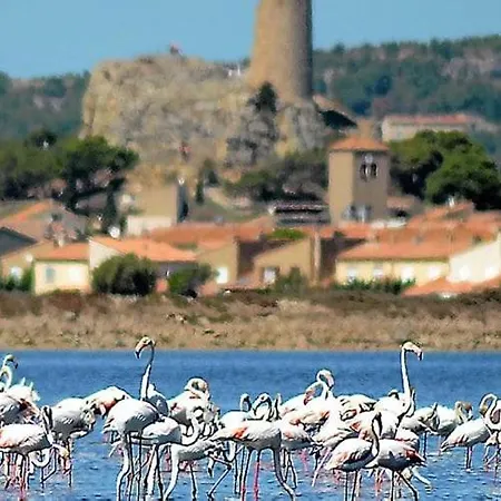 Appartement La Mouette Qui Miaule à Gruissan Extérieur photo